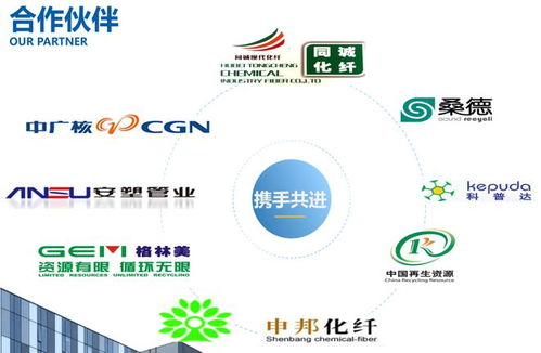 瑞利環(huán)保 一站式破碎清洗甩干設(shè)備與環(huán)保咨詢服務(wù)，打造綠色循環(huán)整體解決方案